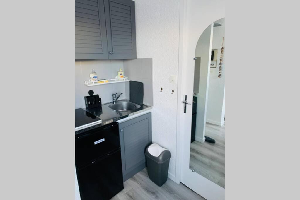 Studio 1600 Pied Des Pistes Avec Magnifique Vue 퓌생빈센트 외부 사진